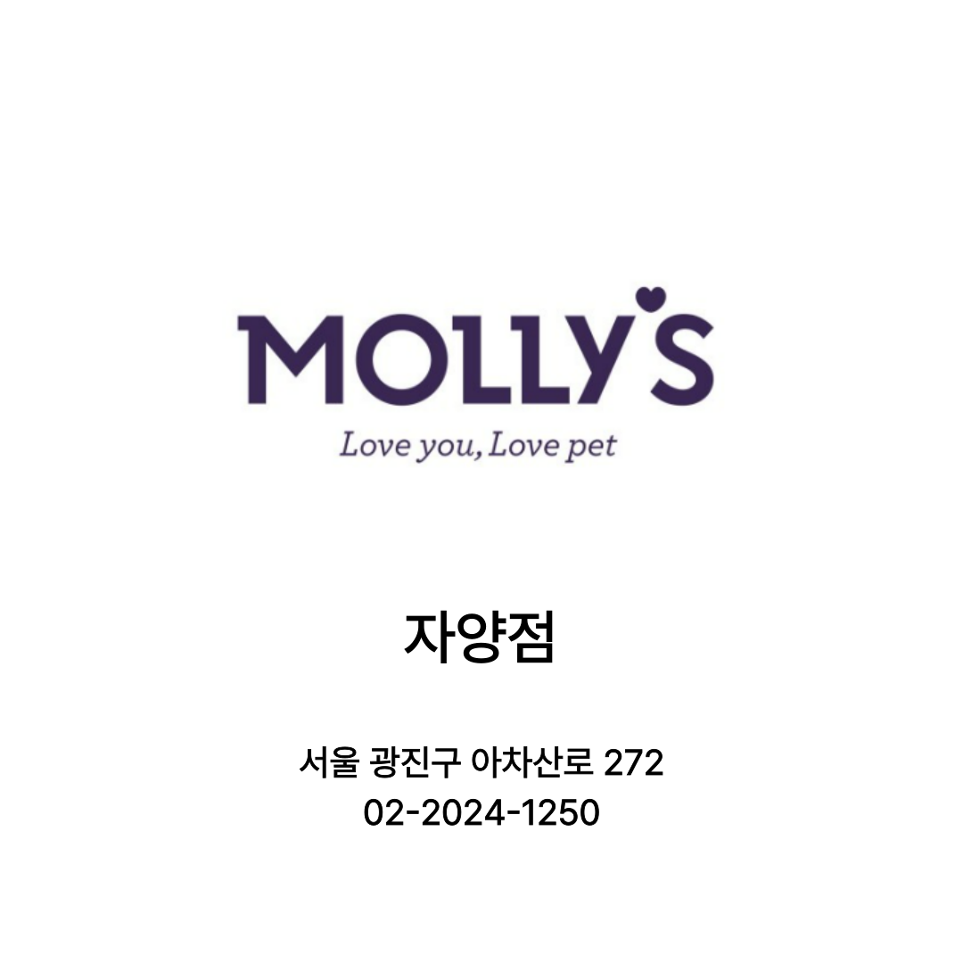 [서울 광진] 몰리스펫 이마트자양점