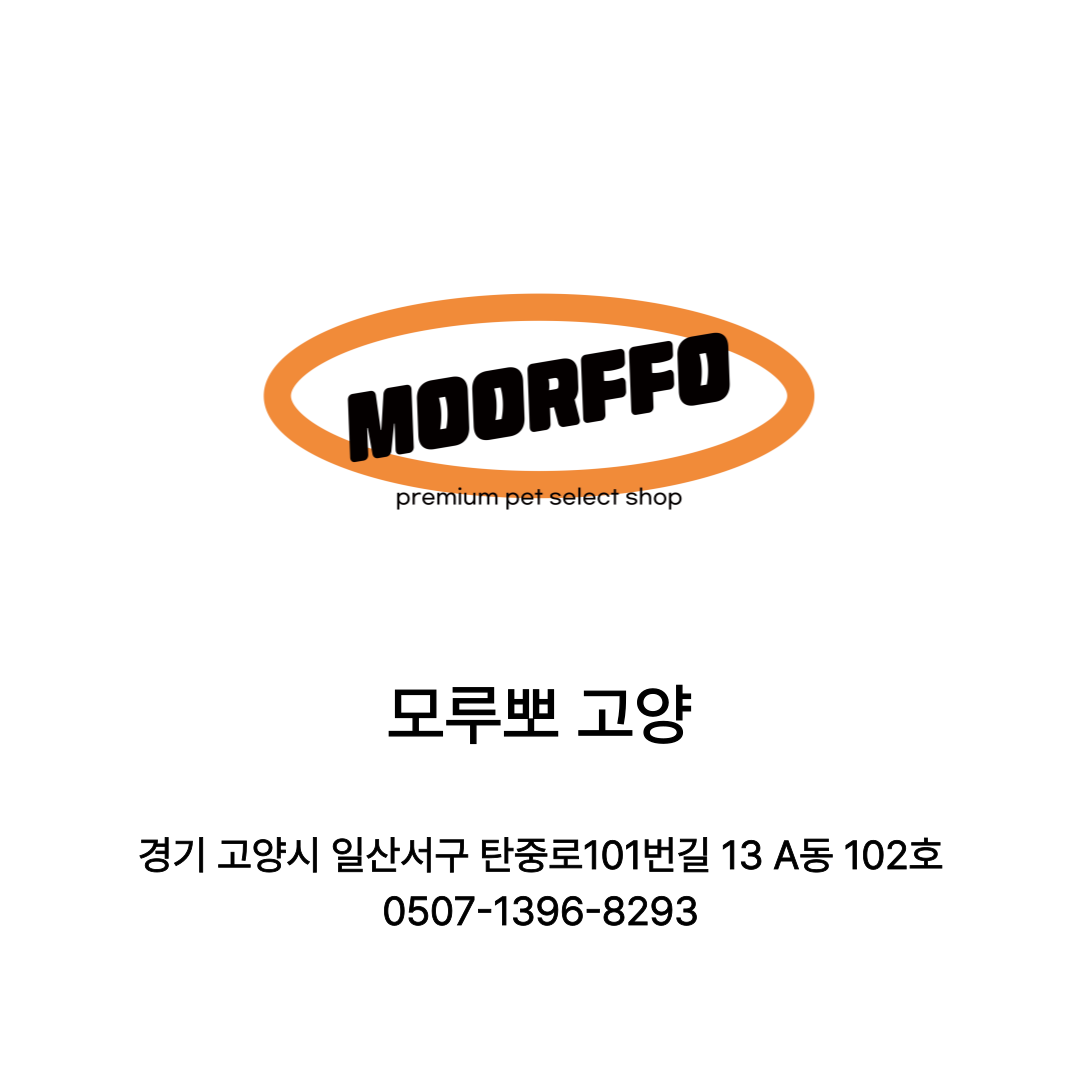 [고양시] 모루뽀 고양